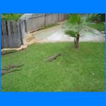 Vacation 045.jpg